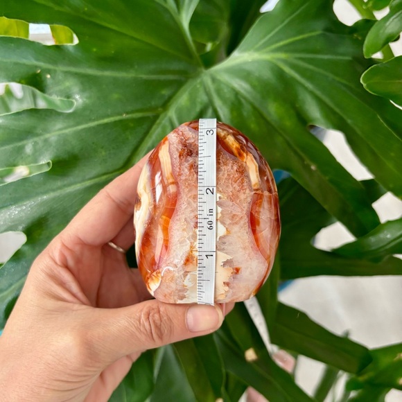 Carnelian Freeform - Picture 8 of 8